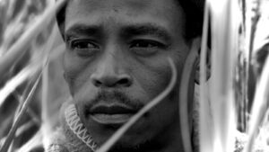 Time Spent With Cats is Never Wasted