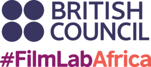 Unleashing the Potential of the African Cinema Value Chain