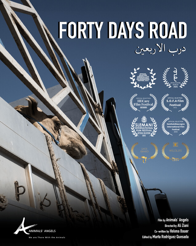 forty-days-road-a-short-film-by-ali-ziani